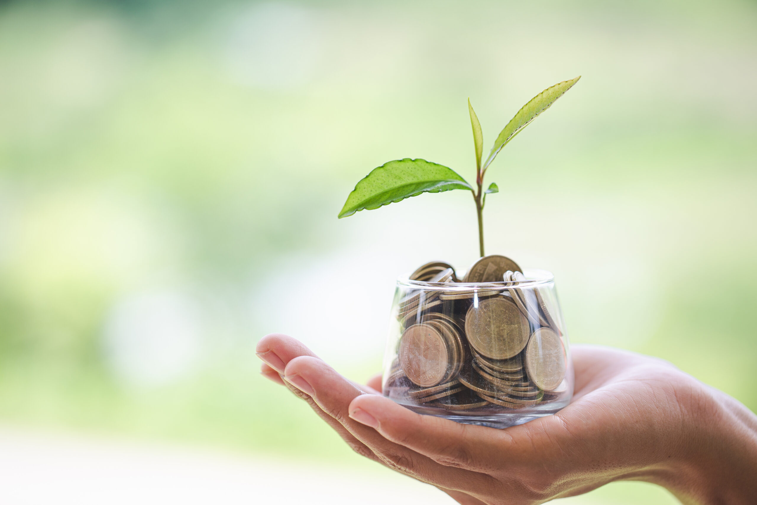 Growth and money with a plant growing out of coins