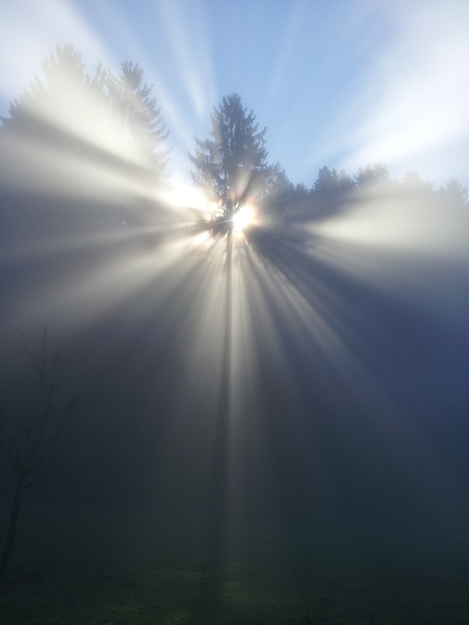 Fog through the trees
Image by <a href="https://pixabay.com/users/hamist-571446/?utm_source=link-attribution&utm_medium=referral&utm_campaign=image&utm_content=524071">Hermann Steurer</a> from <a href="https://pixabay.com//?utm_source=link-attribution&utm_medium=referral&utm_campaign=image&utm_content=524071">Pixabay</a>